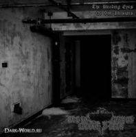 The Bleeding Eyes of Dim Illusions (EP)